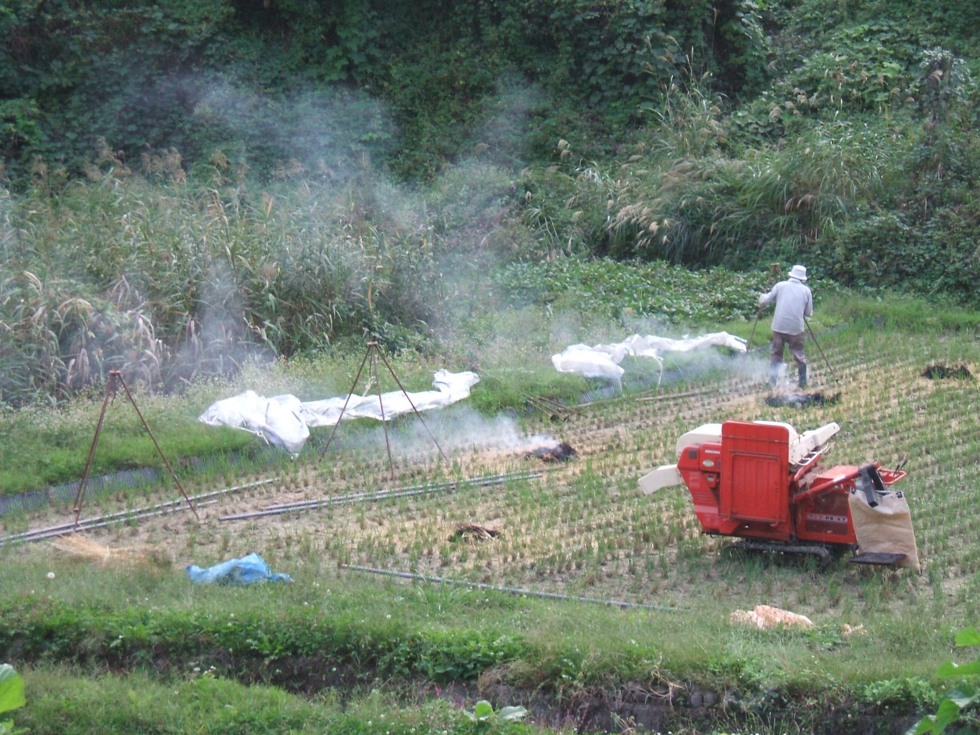 自給的農業による棚田の維持