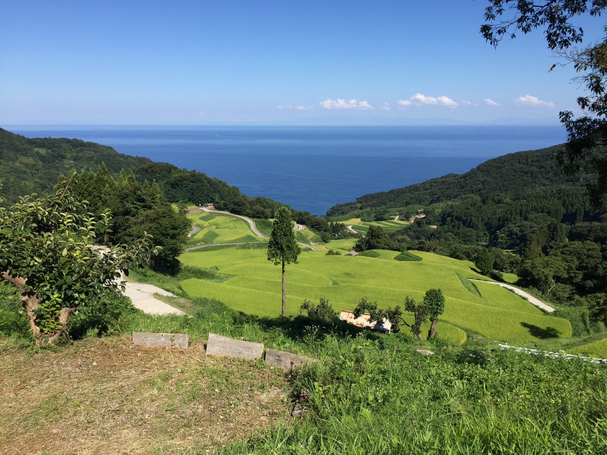 佐渡島の里山棚田景観
